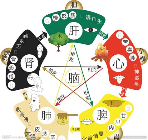 塑膠 五行|传统文化：五行相生相克，对应五脏，玻璃、塑料五行属于什么？